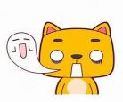 猫小子动画片在线观看